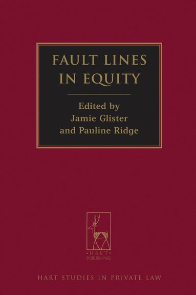 bokomslag Fault Lines in Equity