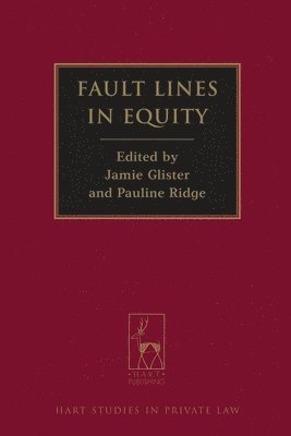 Fault Lines in Equity 1