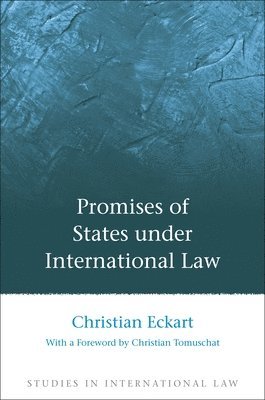 bokomslag Promises of States under International Law