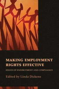 bokomslag Making Employment Rights Effective