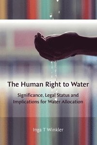 bokomslag The Human Right to Water
