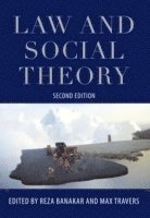 bokomslag Law and Social Theory