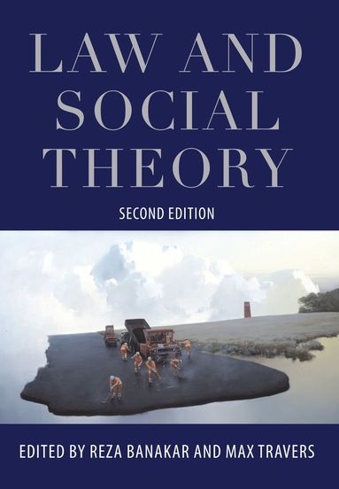 bokomslag Law and Social Theory