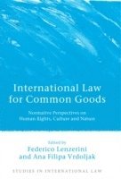 bokomslag International Law for Common Goods