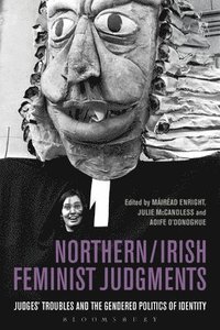 bokomslag Northern / Irish Feminist Judgments