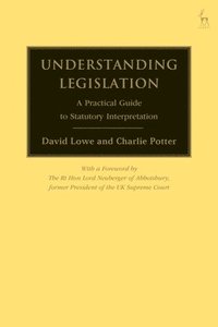 bokomslag Understanding Legislation