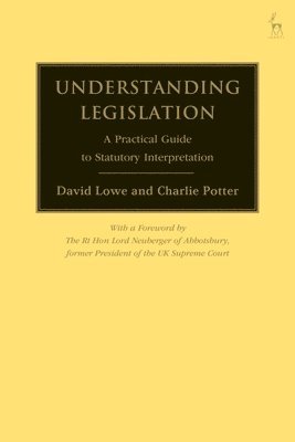 bokomslag Understanding Legislation