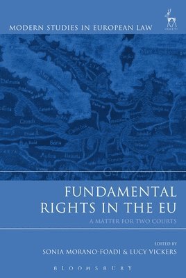 Fundamental Rights in the EU
