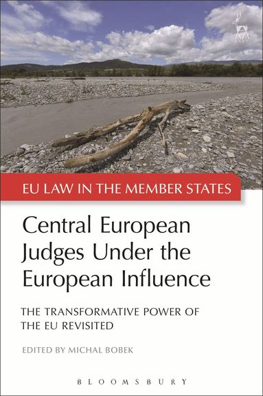 bokomslag Central European Judges Under the European Influence