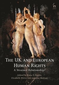 bokomslag The UK and European Human Rights