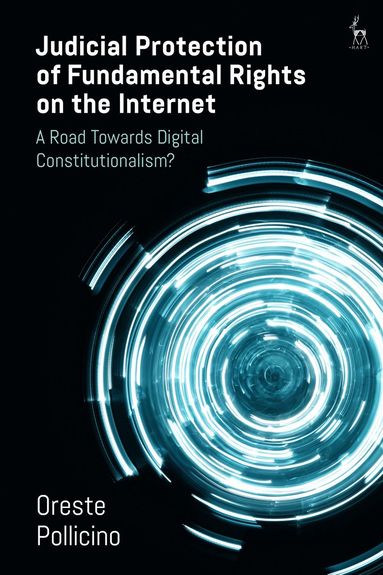 bokomslag Judicial Protection of Fundamental Rights on the Internet