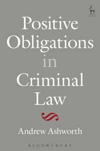 bokomslag Positive Obligations in Criminal Law