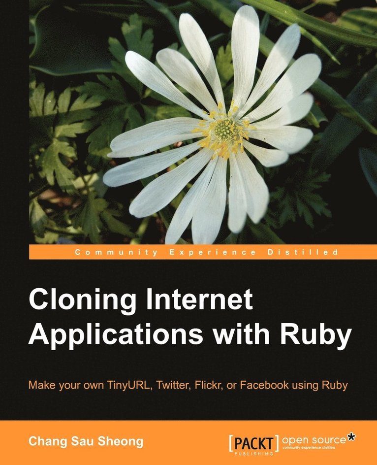 Cloning Internet Applications with Ruby 1