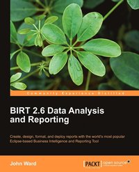 bokomslag BIRT 2.6 Data Analysis and Reporting