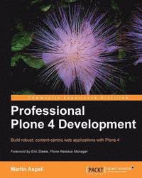 bokomslag Professional Plone 4 Development