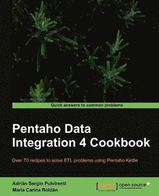 Pentaho Data Integration 4 Cookbook 1