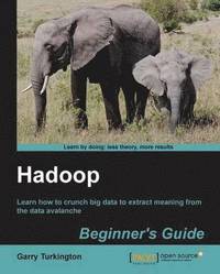bokomslag Hadoop Beginner's Guide