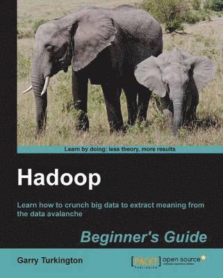 Hadoop Beginner's Guide 1