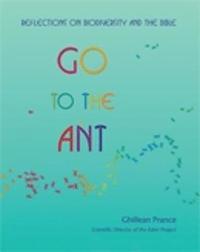 bokomslag Go to the Ant