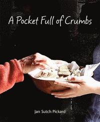 bokomslag Pocket Full Of Crumbs