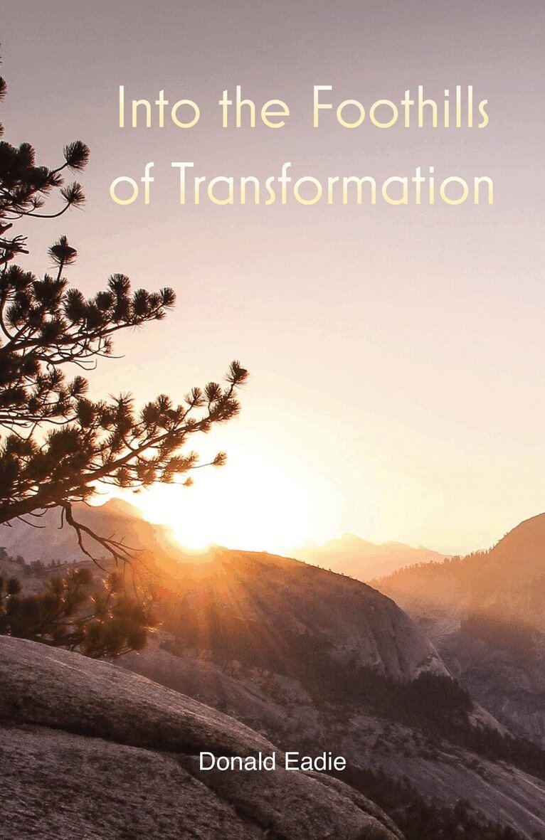 Donald Eadie - Into the Foothills of Transformation, Häftad