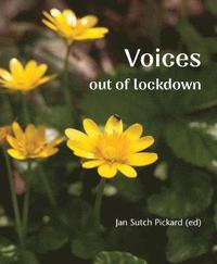 bokomslag Voices Out of Lockdown