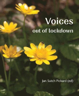 bokomslag Voices Out of Lockdown
