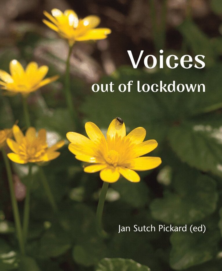 Jan Sutch Pickard - Voices Out of Lockdown, Häftad
