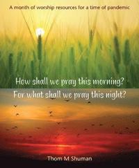 bokomslag How shall we pray this morning? For what shall we pray this night?