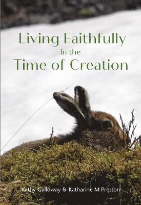 bokomslag Living Faithfully in the Time of Creation