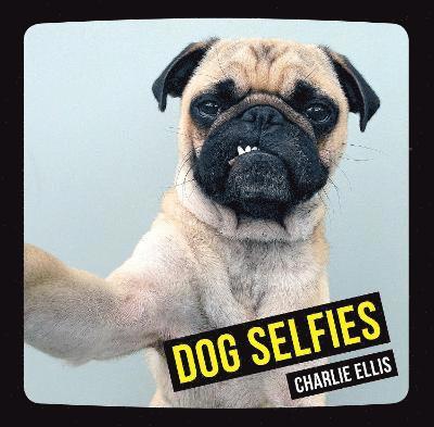 Dog Selfies 1