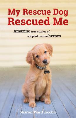 My Rescue Dog Rescued Me 1