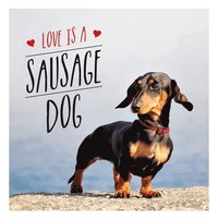 bokomslag Love is a Sausage Dog