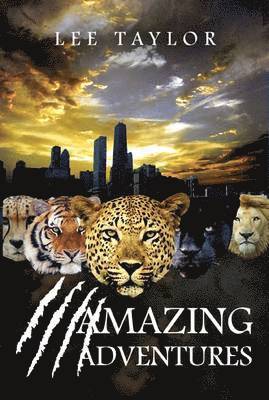 Amazing Adventures