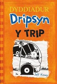 bokomslag Dyddiadur Dripsyn 9: Y Trip