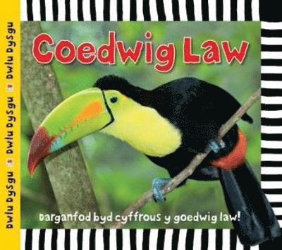 Cyfres Dwlu Dysgu: Coedwig Law 1