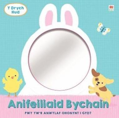 bokomslag Drych Hud, Y: Anifeiliaid Bychain