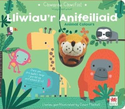 Really Decent Books - Chwarae Chwifio: Lliwiau'r Anifeiliaid / Animal Colours, Inbunden