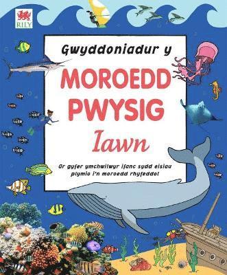 bokomslag Gwyddoniadur y Moroedd Pwysig Iawn