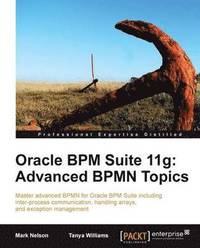bokomslag Oracle BPM Suite 11g: Advanced BPMN Topics