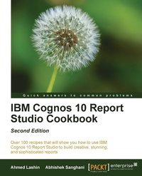 bokomslag IBM Cognos 10 Report Studio Cookbook