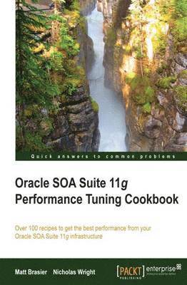 Matthew Brasier, Mark Addy, Nicholas Wright - Oracle Soa Suite 11g Performance Cookbook, Häftad