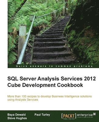Baya Dewald, Steve Hughes - SQL Server Analysis Services 2012 Cube Development Cookbook, Häftad
