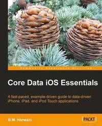 bokomslag Core Data iOS Essentials