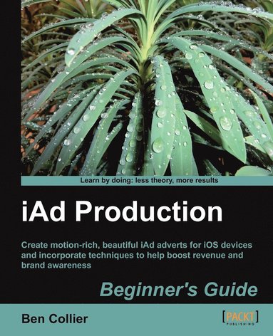 bokomslag Iad Production Beginner's Guide