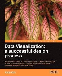 bokomslag Data Visualization: a successful design process