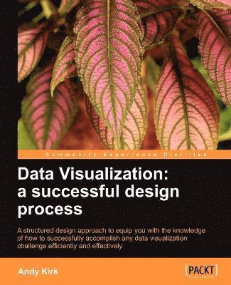 bokomslag Data Visualization: a successful design process