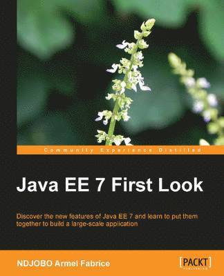 Java EE 7 First Look 1