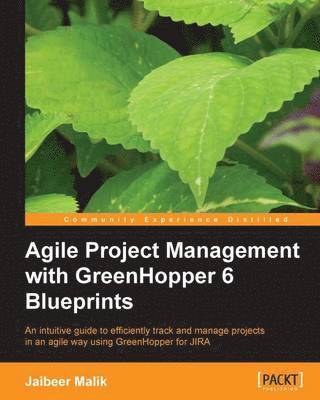 bokomslag Agile Project Management with Greenhopper 6 Blueprints
