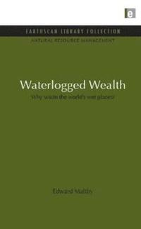 bokomslag Waterlogged Wealth